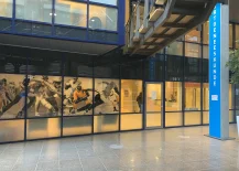 Fitaal Heerenveen - Sportstad Sportgeneeskunde